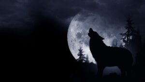 epic galaxy wolf wallpaper