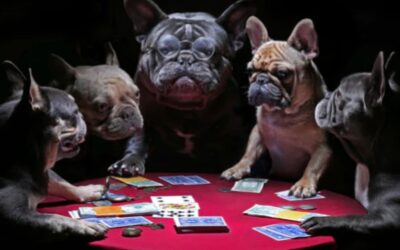 The Lasting Legacy of Coolidge’s Dog Poker: From Cigars to Cultural Icon