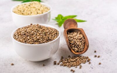 Marijuana Seeds and Their Role in Alternative Medicine