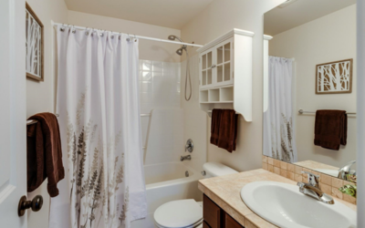 12 Small Bathroom Problems & Their Solutions