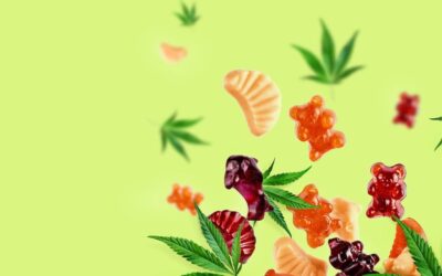 5 Tips For Finding The Best Quality CBD Gummies In Canada