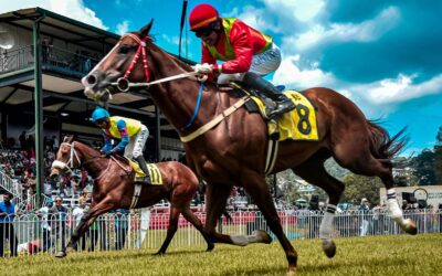 How Online Horse Betting Has Evolved in Singapore: A Professional Analysis