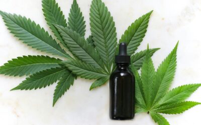 Exploring the Role of CBD in Enhancing Artistic Performance