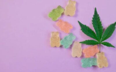 What Are the Benefits of CBD Edible Products?