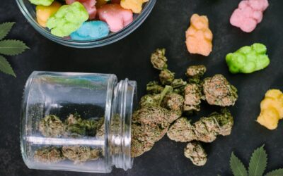 CBD Gummies Vs. Hemp Gummies: Which Is Better?